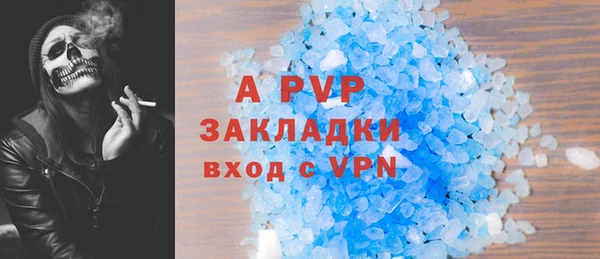 apvp Бородино